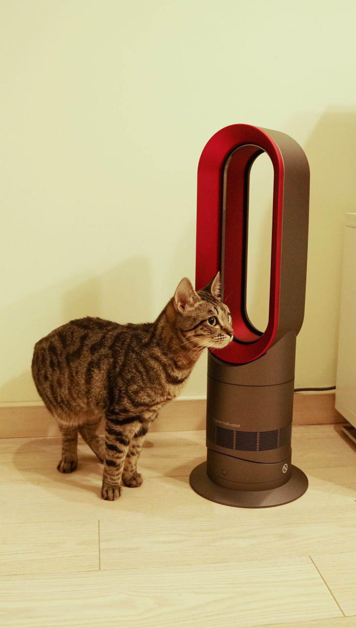 戴森暖风机值得入手的冬季神器,戴森暖风扇出新款吗