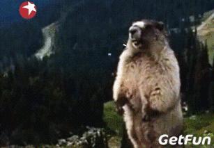 今天停电信息查询网,最新停电通知查询