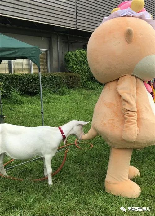 因为花样作死被解雇的吉祥物,卖萌吉祥物