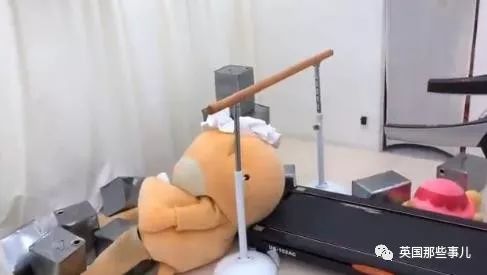 因为花样作死被解雇的吉祥物,卖萌吉祥物