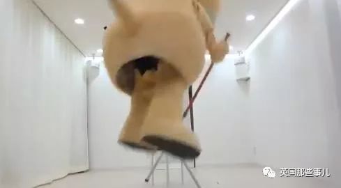 因为花样作死被解雇的吉祥物,卖萌吉祥物