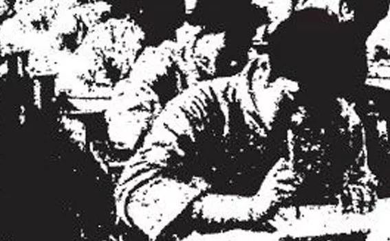 中国幼儿园教育起源,中国幼儿园发展特色是什么