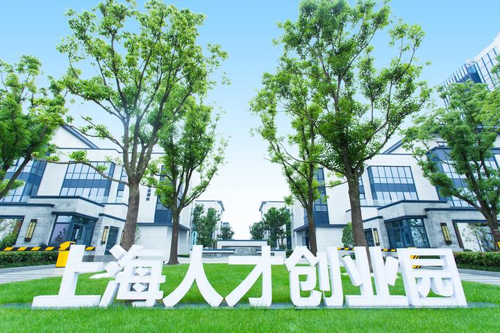 嘉善的优势在哪,嘉善的支柱产业靠什么