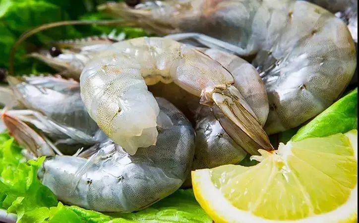 盘点被网红带火的几种网红虾,网红虾到底好不好