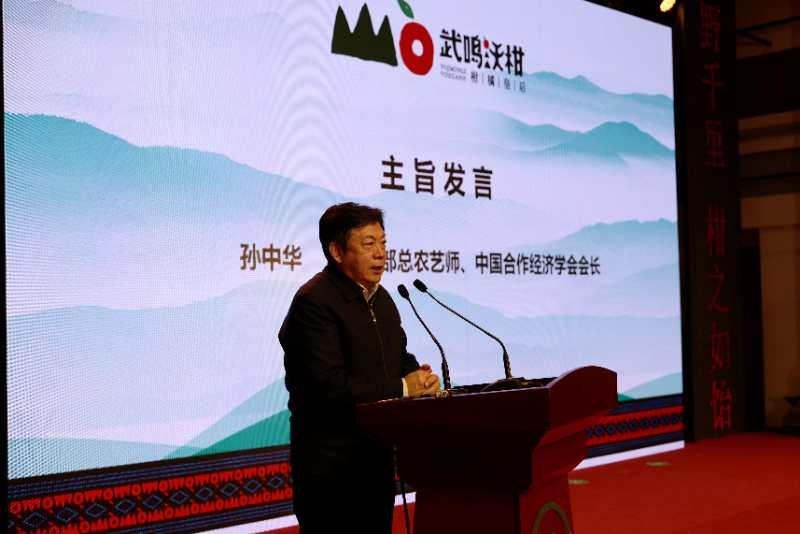 武鸣沃柑推广,武鸣2019年沃柑