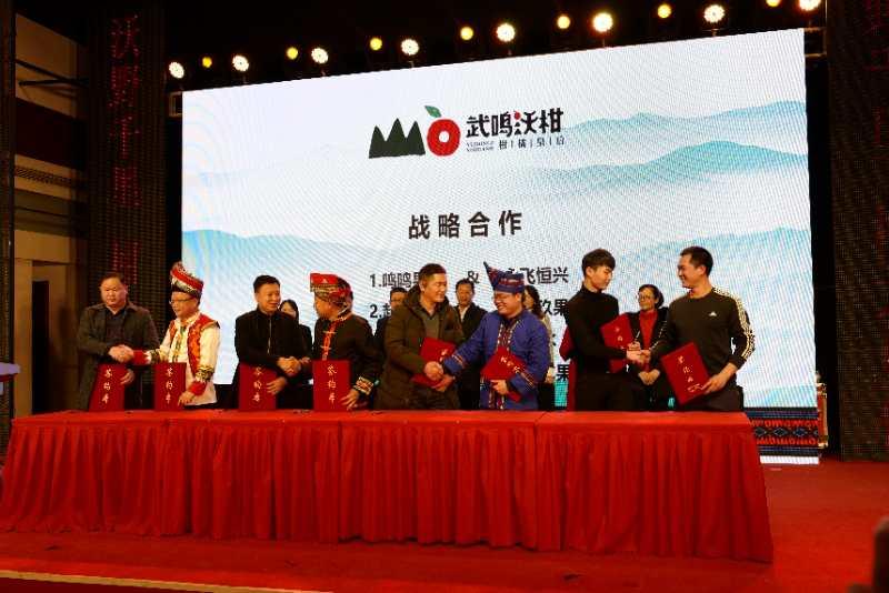 武鸣沃柑推广,武鸣2019年沃柑