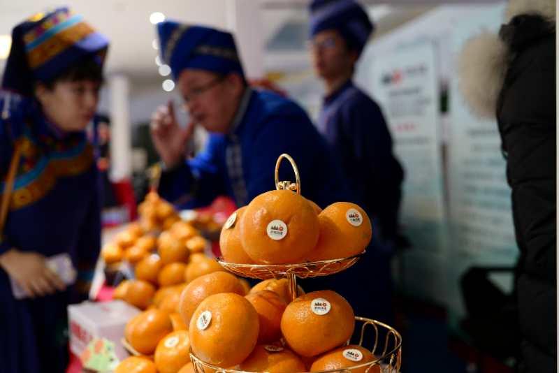 武鸣沃柑推广,武鸣2019年沃柑