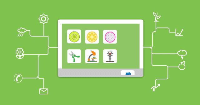 超详细肥料、农药、调节剂混配知识，快收藏