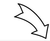 pig和hog和boar有什么区别,猪年用bear还是pig