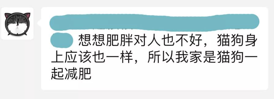 别人家的猫怎么都这么可爱啊,为什么别人的猫都是蠢萌可爱