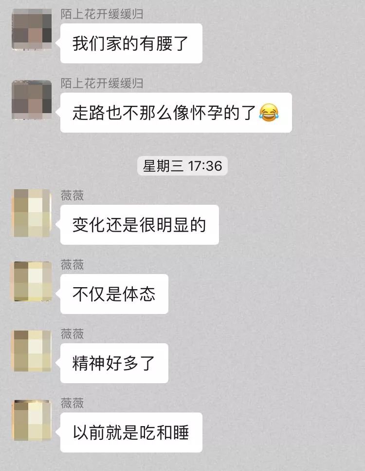 别人家的猫怎么都这么可爱啊,为什么别人的猫都是蠢萌可爱