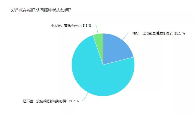 别人家的猫怎么都这么可爱啊,为什么别人的猫都是蠢萌可爱