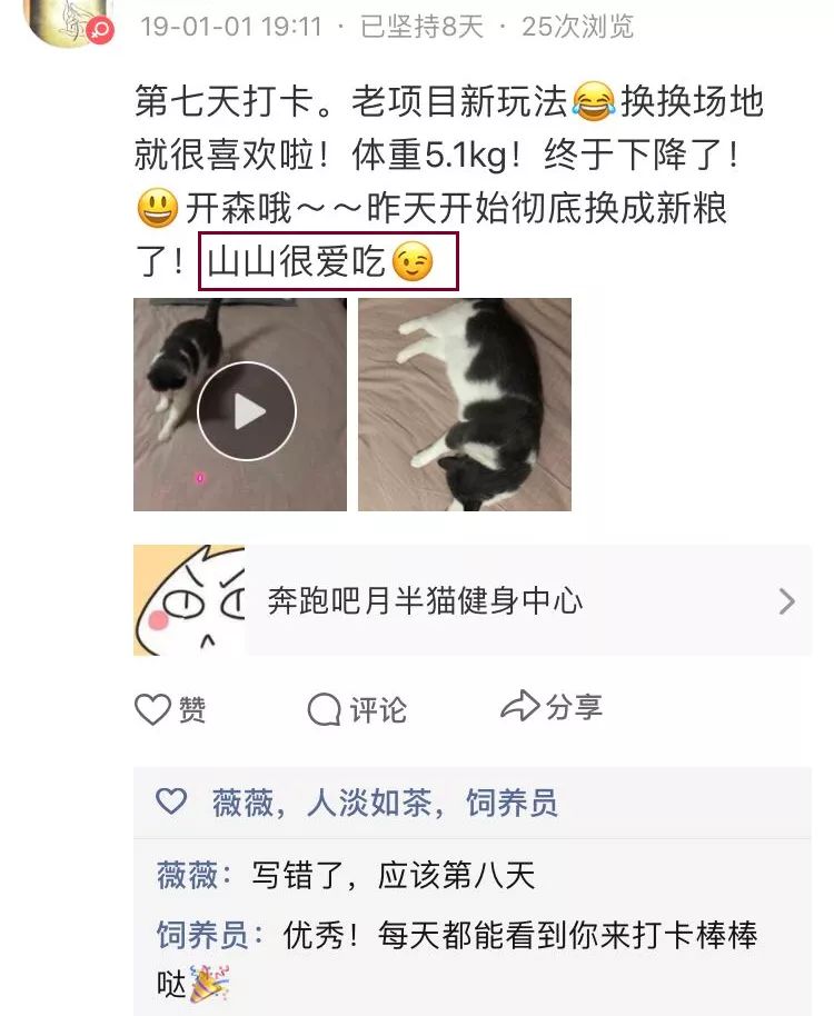 别人家的猫怎么都这么可爱啊,为什么别人的猫都是蠢萌可爱