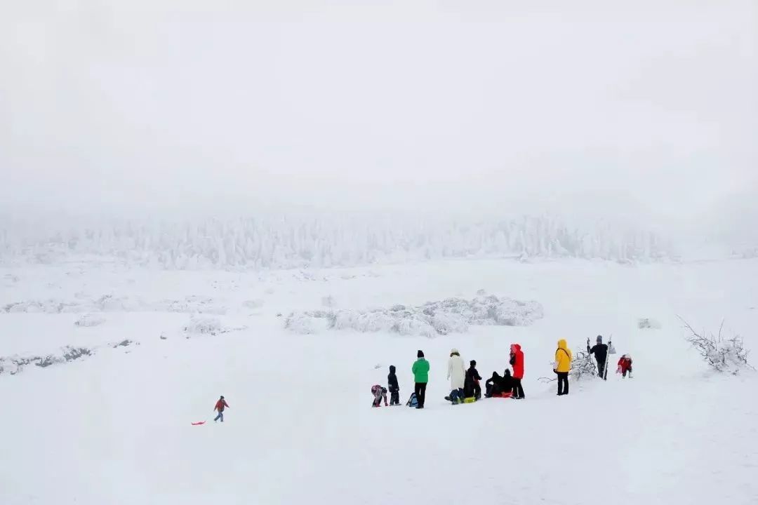 开启2019年的第一场旅行,2019第一场旅行去哪里