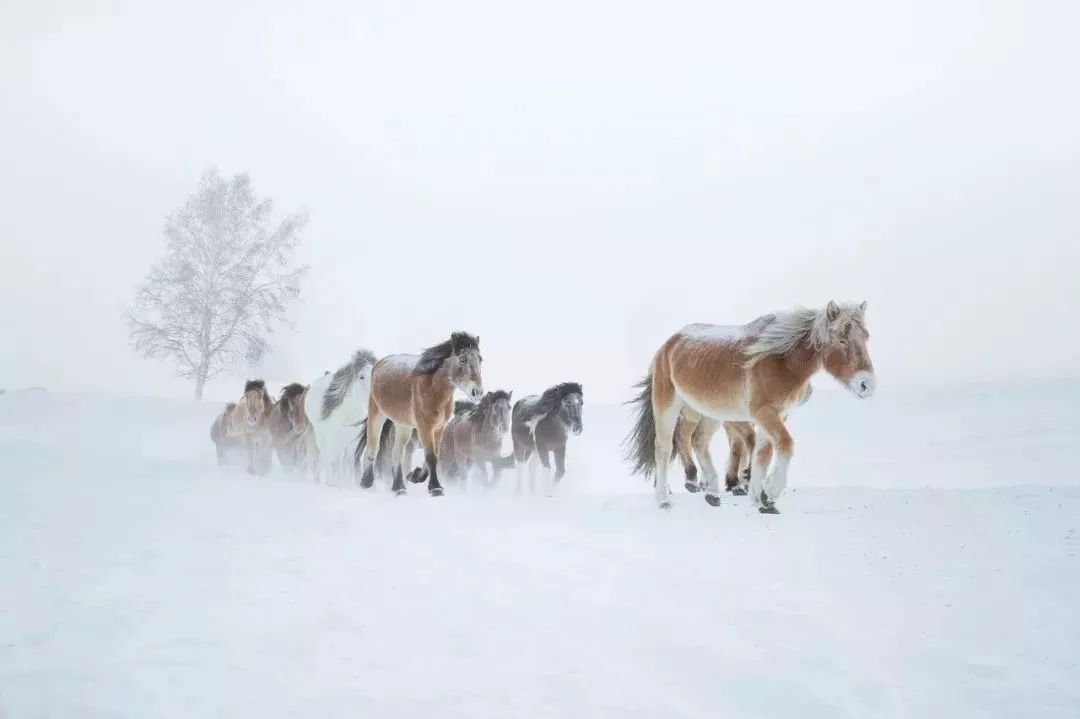 开启2019年的第一场旅行,2019第一场旅行去哪里