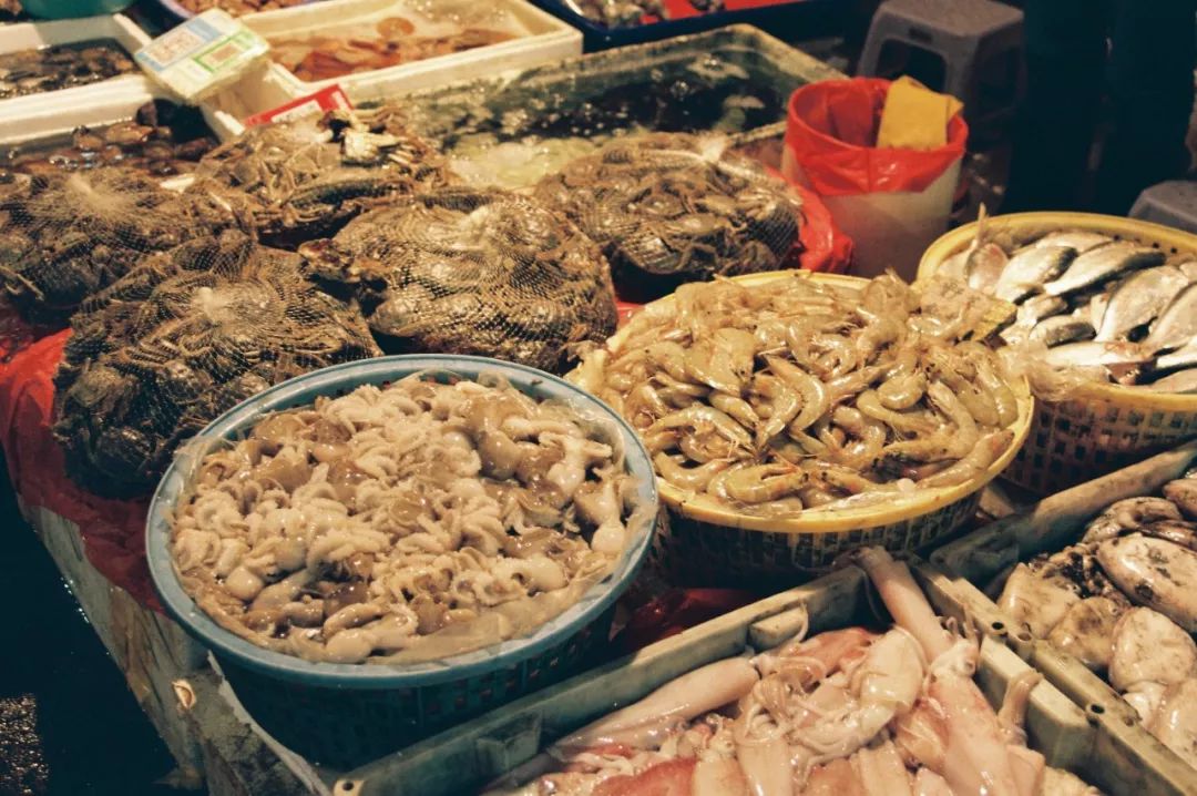 文艺渔村中的海上浮城，希尔顿旗下这家设计感满分的小鲜肉酒店，颜值爆炸！