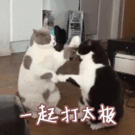 TA藏在静安，可能是市中心最袖珍公园，重温老上海的儿时记忆