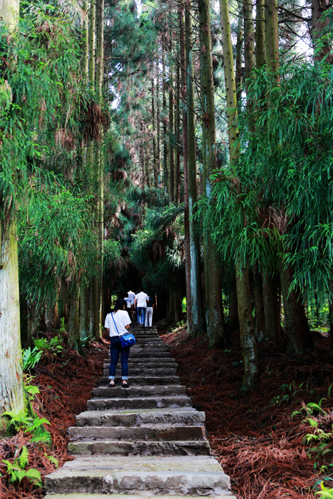 五马林场从“无闻”走向“闻名”的蜕变之路