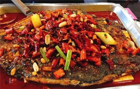 吃遍大连美食,吃遍大连的东西