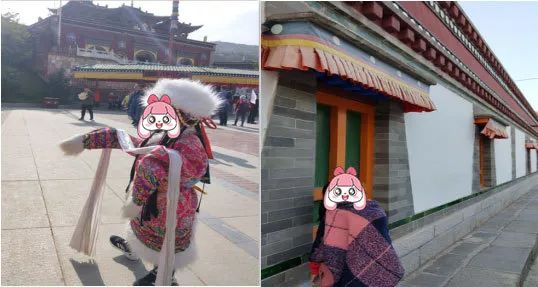 「小风伶杯作文赛」一等奖、二等奖文章展示