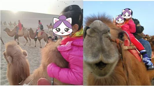 「小风伶杯作文赛」一等奖、二等奖文章展示