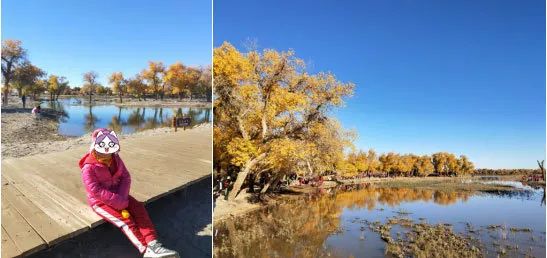 「小风伶杯作文赛」一等奖、二等奖文章展示