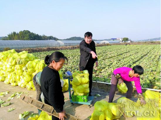 湖南湘潭综合农业产业园,湘潭农业示范园区