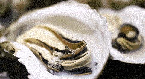 世界读书日：比「陈晓卿」还懂美食的人原来是他们……