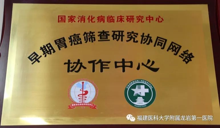 这里堪称龙岩的北上广