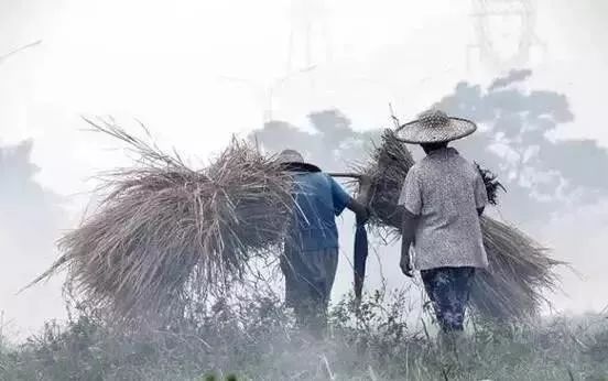 年味越来越浓广西钦州,钦州老街春节
