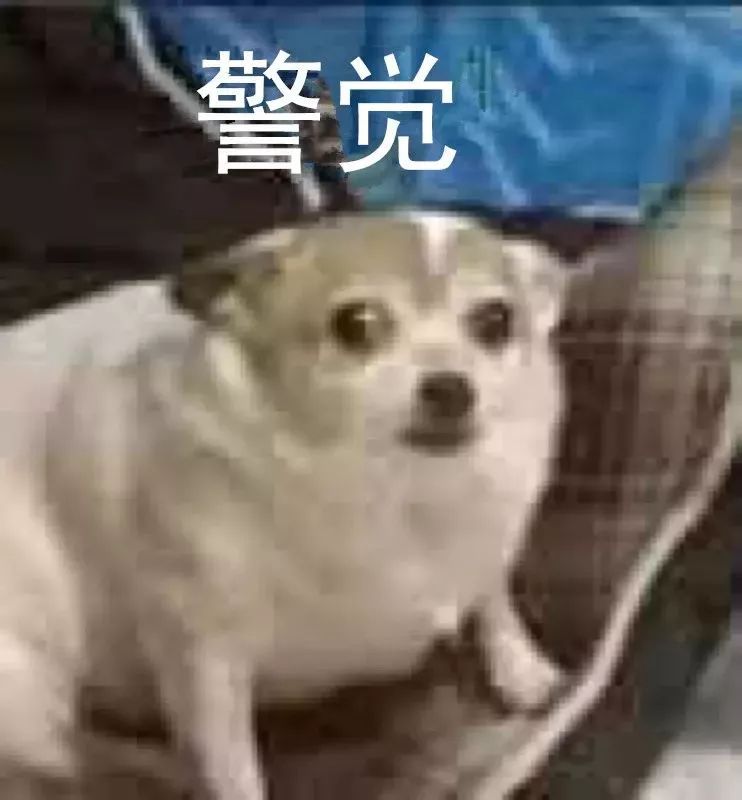 3岁女童头部发痒,3岁孩子突然头痒头皮都抓破了