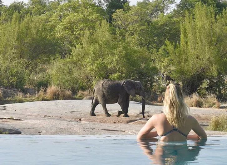 知否知否台湾明星,知否知否花絮婚嫁