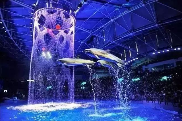 去看美人鱼咯,168元抢极地海洋世界一大一小超值套餐!