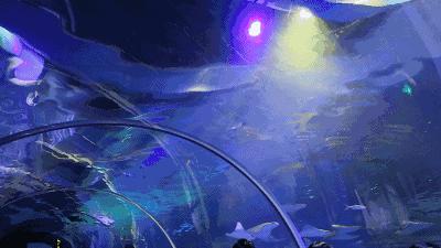 去看美人鱼咯,168元抢极地海洋世界一大一小超值套餐!