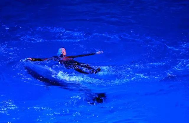 去看美人鱼咯，168元抢极地海洋世界一大一小超值套餐！