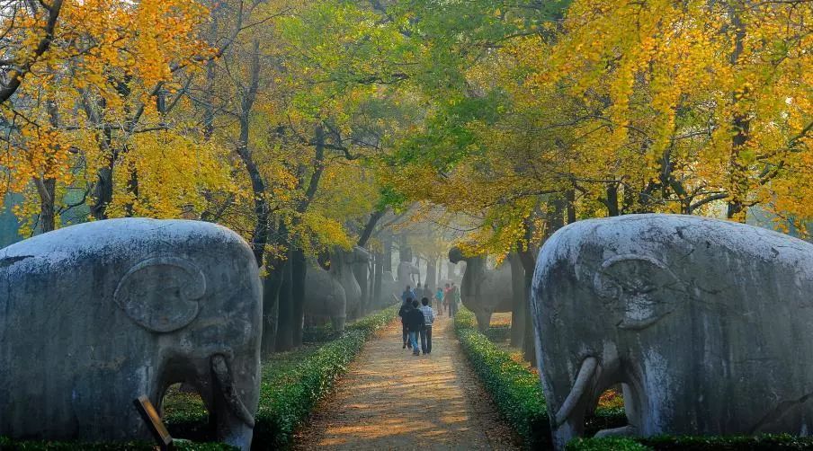 逛不完的古迹、讲不尽的传奇，这座城市你了解多少？