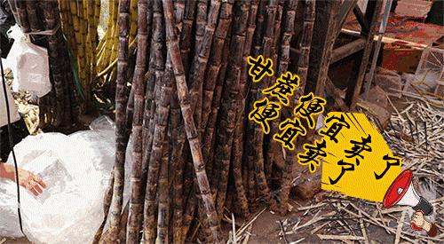 云南旅游昆明小吃街攻略,昆明乡街子网红打卡点