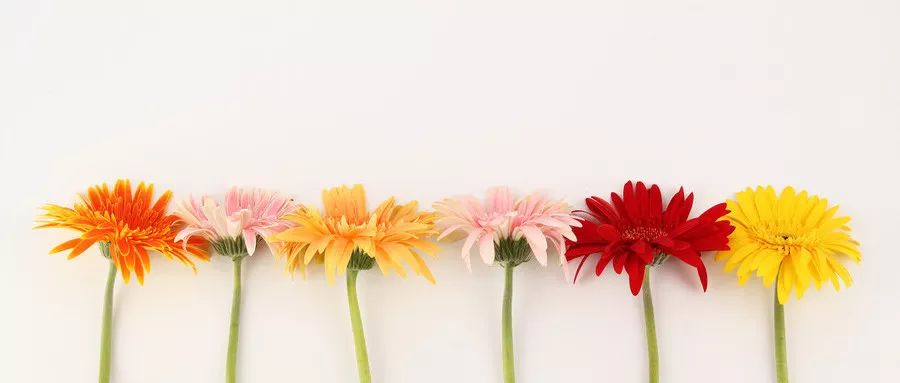 腹腔出血黄体破裂,黄体破裂腹腔有血