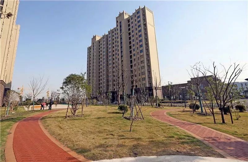 动迁安置房、工业园配套、大型绿地......你关心的问题车墩镇镇长这样回应