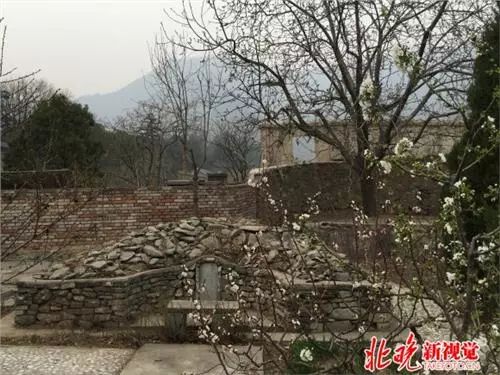 走近巨匠｜萧友梅家族墓地藏身香山脚下四代人守护墓地近百年