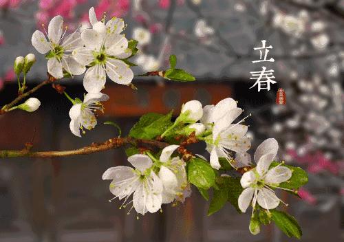 2057年哪天立春,19年一遇的除夕立春