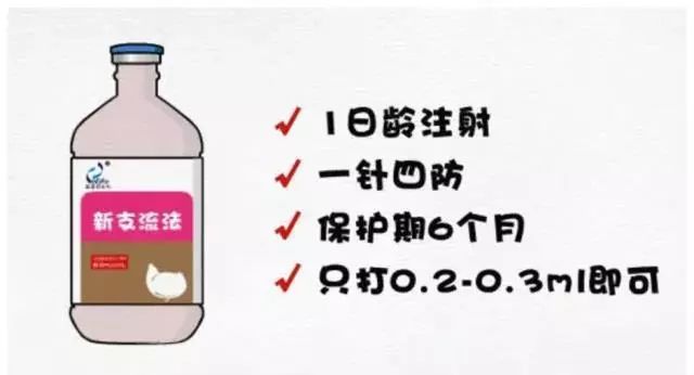 为什么养殖人喜欢用通威,普莱柯猪瘟疫苗免疫期
