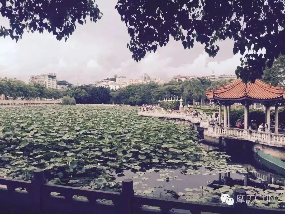 火速收藏！冬*你日**想要的阳光、骑行、美食美景都在这儿~