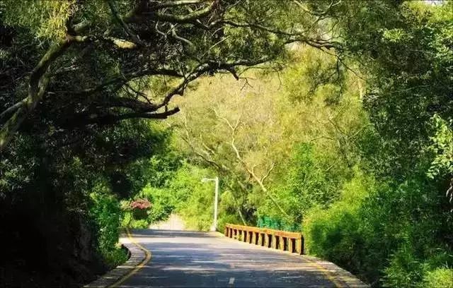 火速收藏！冬*你日**想要的阳光、骑行、美食美景都在这儿~