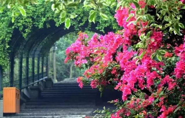 火速收藏！冬*你日**想要的阳光、骑行、美食美景都在这儿~