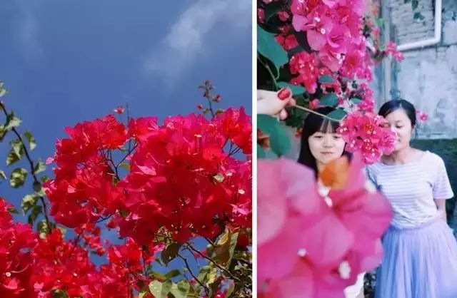 火速收藏！冬*你日**想要的阳光、骑行、美食美景都在这儿~