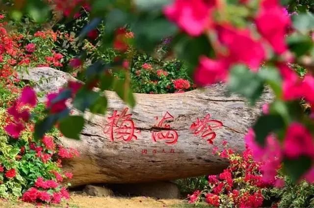 火速收藏！冬*你日**想要的阳光、骑行、美食美景都在这儿~