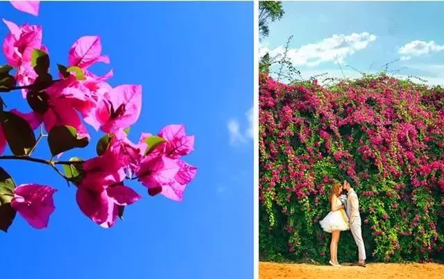 火速收藏！冬*你日**想要的阳光、骑行、美食美景都在这儿~