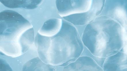 太撩了！日本大妈颜值比18岁少女还惊艳，神仙操作了解一下