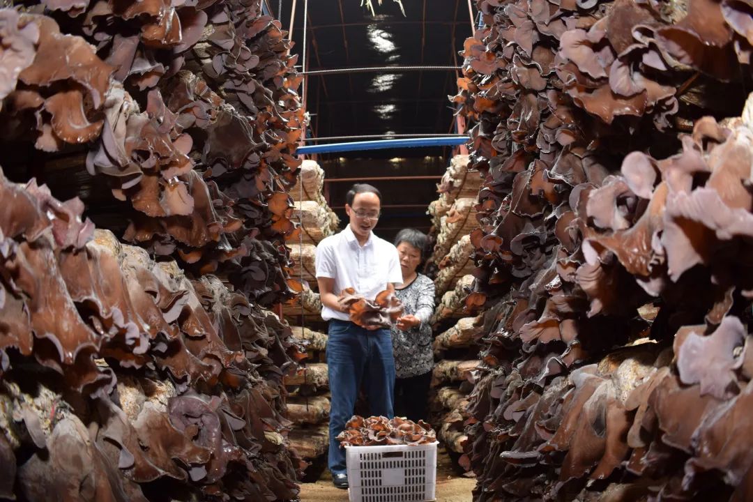 这些食品谣言你都中招了吗,农产品被谣言中伤怎么办